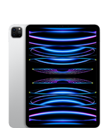 iPad&nbsp;Pro 11&nbsp;pouces (4ᵉ&nbsp;génération)